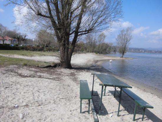 Lake Maggiore 2 Minutes Apartment Dormelletto Εξωτερικό φωτογραφία