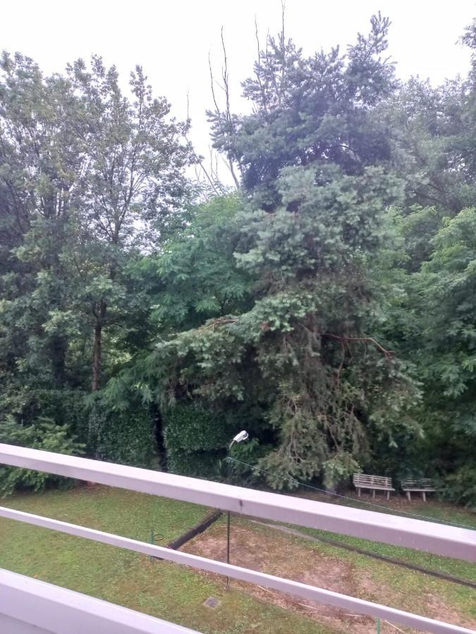 Lake Maggiore 2 Minutes Apartment Dormelletto Εξωτερικό φωτογραφία