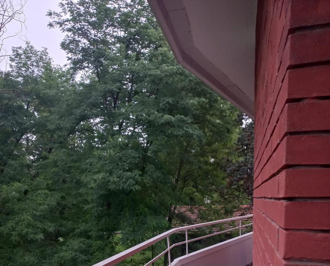 Lake Maggiore 2 Minutes Apartment Dormelletto Εξωτερικό φωτογραφία